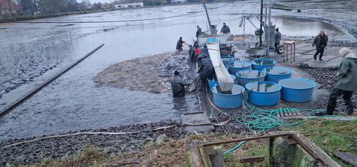 20241102_064926 (1).jpg